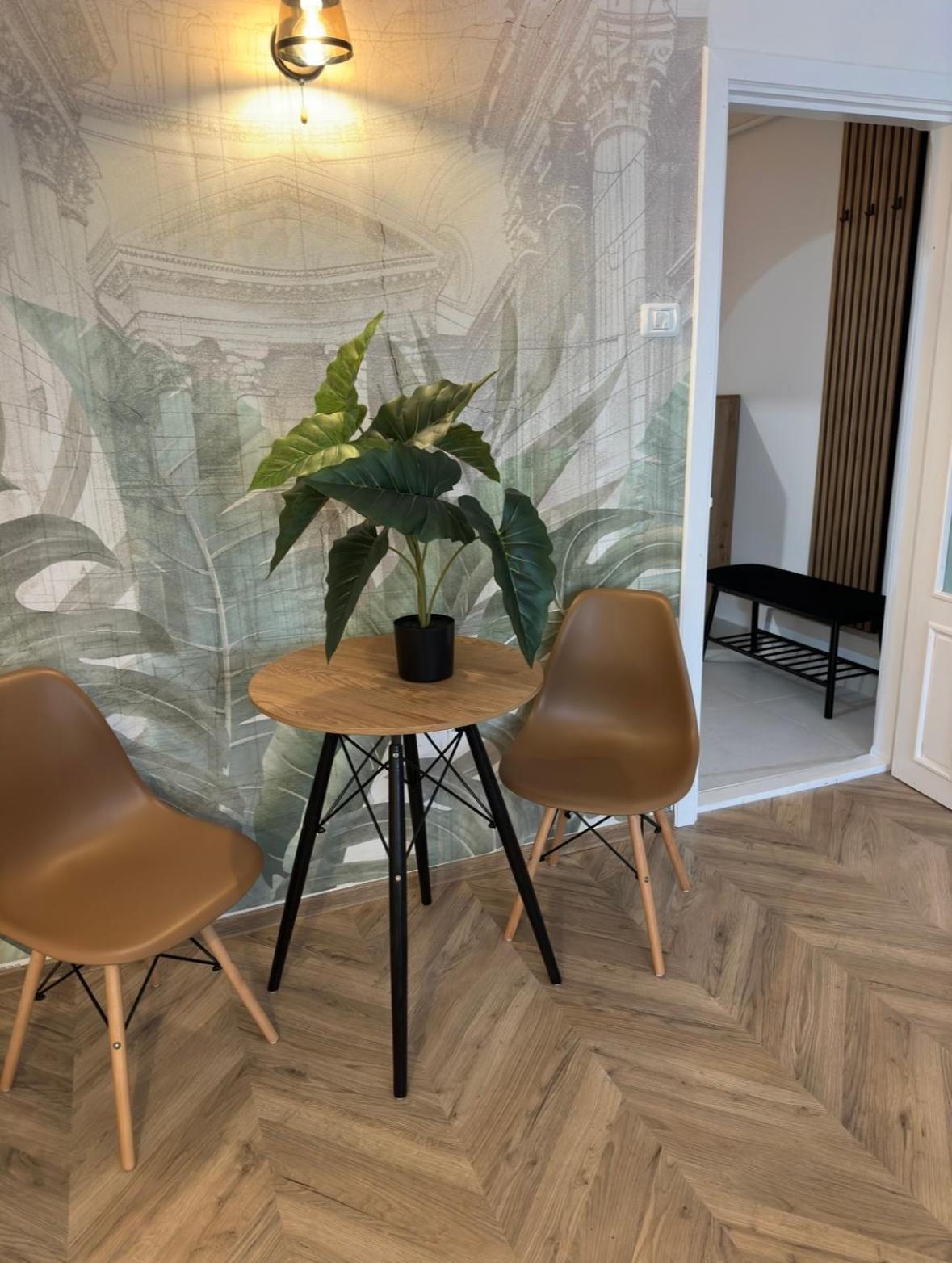 One Room Apartment- Self Check-In 24H レシツァ エクステリア 写真